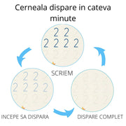 Set Caiete de Lucru cu Alfabet, Numere, Matematică, Desen